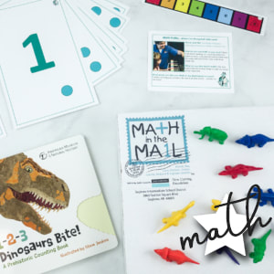 books, flash cards and counters 